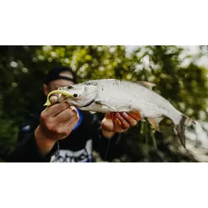 Juego de 7 señuelos Quantum 4street B-Ass Shad image-4