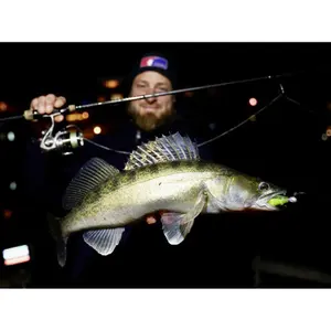 Juego de 7 señuelos Quantum 4street B-Ass Shad image-6