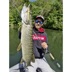 Lok Quantum 4street Bangry Zander 17,5g image-2
