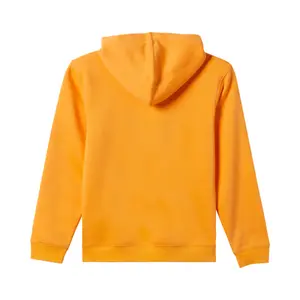 Printed Logo Hoodie 2 Colours on Chest Child Quiksilver Graphic image-2