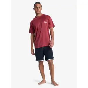 UV-resistant T-shirt Quiksilver DNA image-1