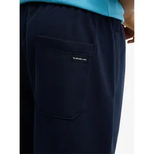 Short de jogging enfant Quiksilver Easy Day image-6