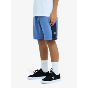 Short Child Quiksilver Knowledge Area image-5