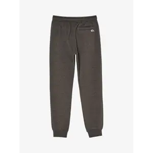 Kids' joggers Quiksilver image-1