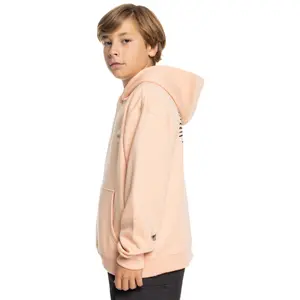 Child hoodie Quiksilver Screen image-2