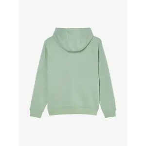 Child hoodie Quiksilver Comp Logo image-4