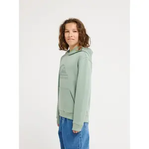 Child hoodie Quiksilver Comp Logo image-3