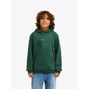 Child hoodie Quiksilver Comp Logo image-1
