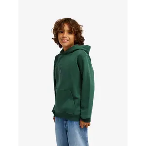 Child hoodie Quiksilver Comp Logo image-3