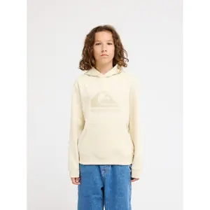 Child hoodie Quiksilver Comp Logo image-1