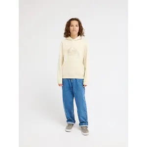 Child hoodie Quiksilver Comp Logo image-2