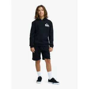 Camisola com capuz para criança Quiksilver Omni Logo image-5