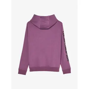 Camisola com capuz para criança Quiksilver Omni Logo image-5