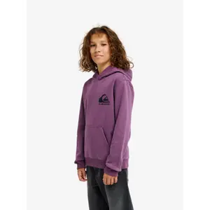 Camisola com capuz para criança Quiksilver Omni Logo image-3