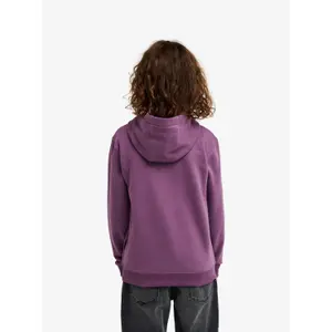Camisola com capuz para criança Quiksilver Omni Logo image-6