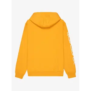 Sweatshirt med huva för barn Quiksilver Omni Logo image-1