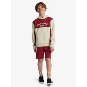 Child hoodie Quiksilver Knowledge Area image-2