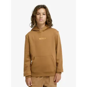 Child hoodie Quiksilver Quik Globe image-2