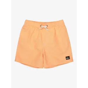 Kids Board shorts Quiksilver Everyday Deluxe 14" image-0