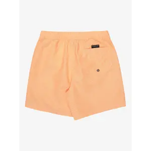 Kids Board shorts Quiksilver Everyday Deluxe 14" image-1