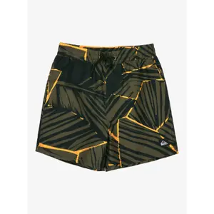 Kids Board shorts Quiksilver Everyday Printed Volley 14 image-0