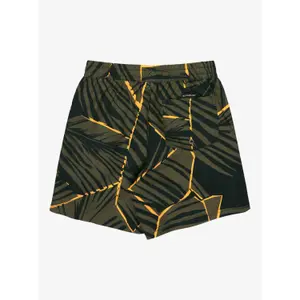 Kids Board shorts Quiksilver Everyday Printed Volley 14 image-1