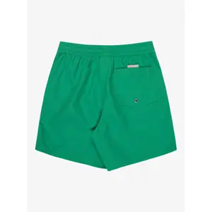 Kids Board shorts Quiksilver Everyday Volley 14" image-2