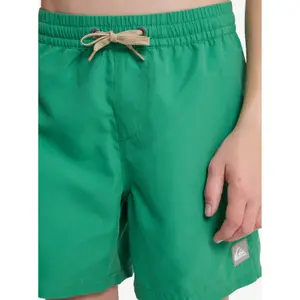 Kids Board shorts Quiksilver Everyday Volley 14" image-5