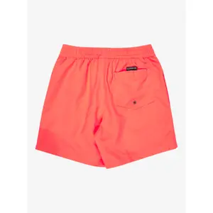 Boardshorts til børn Quiksilver Everyday Volley 14" image-2