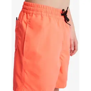 Boardshorts til børn Quiksilver Everyday Volley 14" image-5