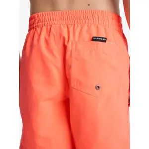 Boardshorts til børn Quiksilver Everyday Volley 14" image-6
