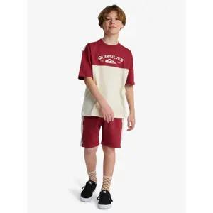 Children's T-shirt Quiksilver Knowledge Aera image-5