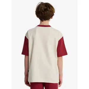 Children's T-shirt Quiksilver Knowledge Aera image-3