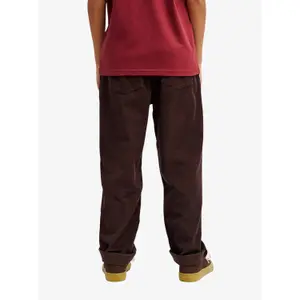 Children's Trousers Quiksilver Taxer Cord image-4