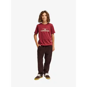 Children's Trousers Quiksilver Taxer Cord image-1