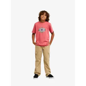 Pantaloni cargo per bambini Quiksilver Taxer image-1