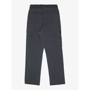 Παντελόνι καργκό για παιδιά Quiksilver Taxer image-1