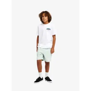 Κοντό παντελόνι παιδιού Quiksilver Taxer Cord image-2