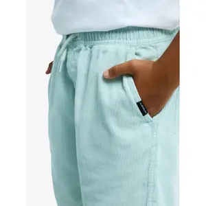 Κοντό παντελόνι παιδιού Quiksilver Taxer Cord image-5