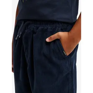 Κοντό παντελόνι παιδιού Quiksilver Taxer Cord image-5