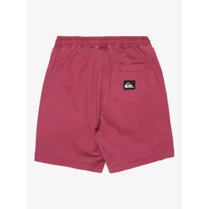 Ελαστική σορτς παιδιού Quiksilver Taxer image-1