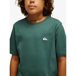 Children's T-shirt Quiksilver Basic image-6