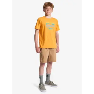 Children's T-shirt Quiksilver Horizon Fade image-5