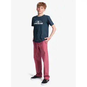Children's T-shirt Quiksilver EV Corpo Classic image-5