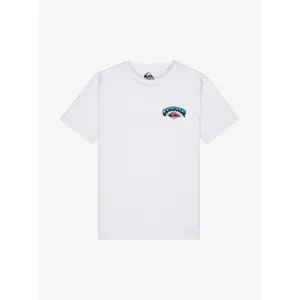 Παιδικό μπλουζάκι Quiksilver Palm Horizon image-0