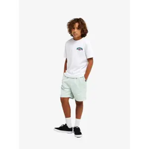 Παιδικό μπλουζάκι Quiksilver Palm Horizon image-5