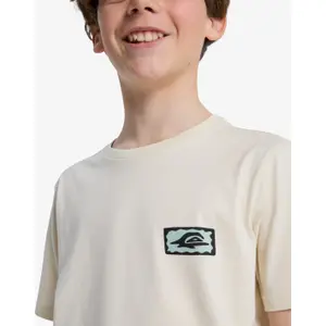 Children's T-shirt Quiksilver Serenity Splash image-6
