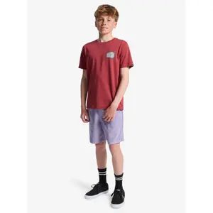 Children's T-shirt Quiksilver Heritage image-6
