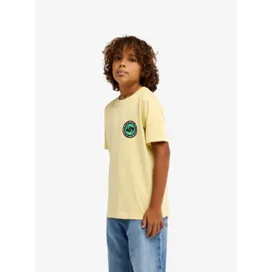 Children's T-shirt Quiksilver EV Duality image-3