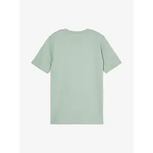 Children's T-shirt Quiksilver Ev Vista Logo image-2